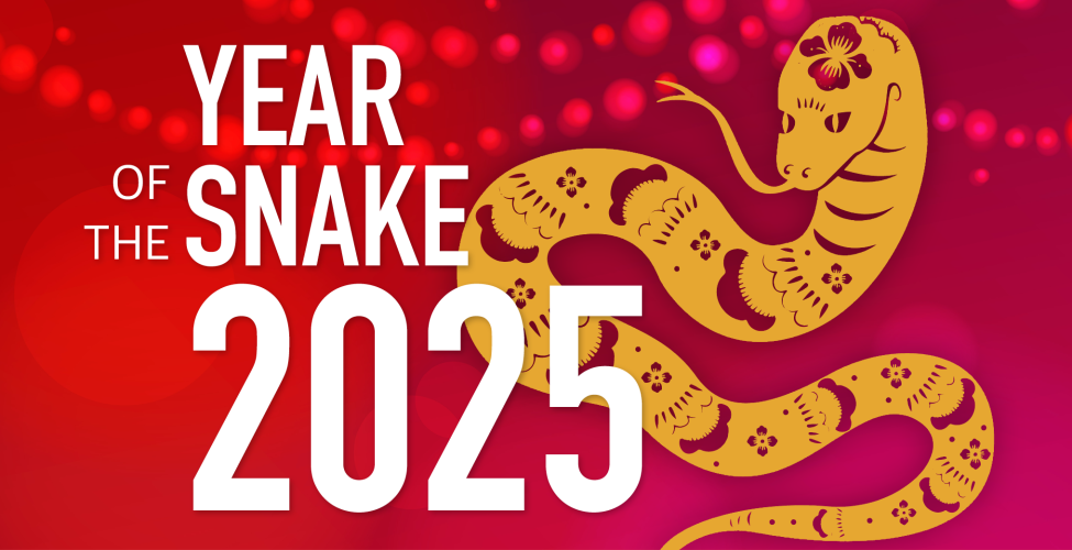 Golden snake with on a red background withe the phrase, "Year of the Snake"