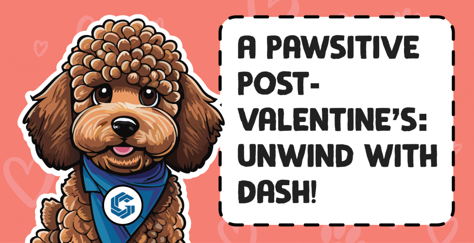 A PAWsitive Post-Valentine's: Unwind with Dash