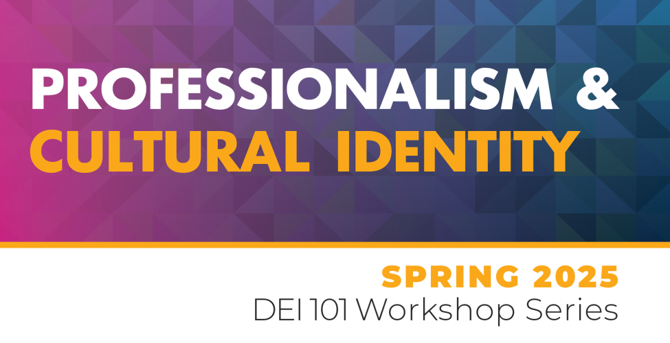 Graphic with the words "Professionalism & Cultural Identity"