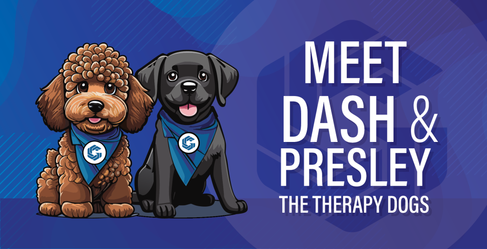 Illustrated image of brown labradoodle and black lab with the words "Meet Dash and Presley, The Therapy Dogs"