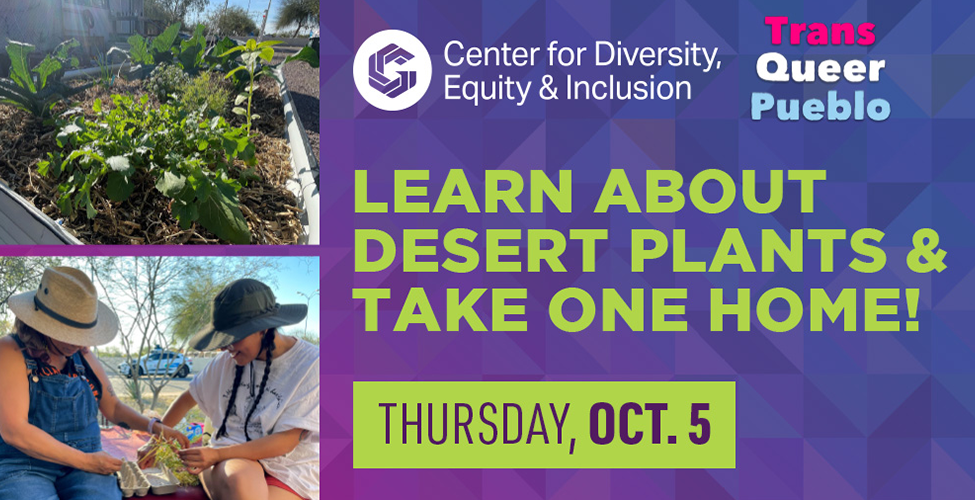 Learn About Desert Plants and Take One Home