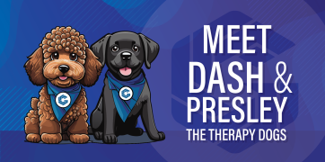 Illustrated brown labrodoodle and black lab with the the "Meet Dash & Presley The Therapy Dogs)